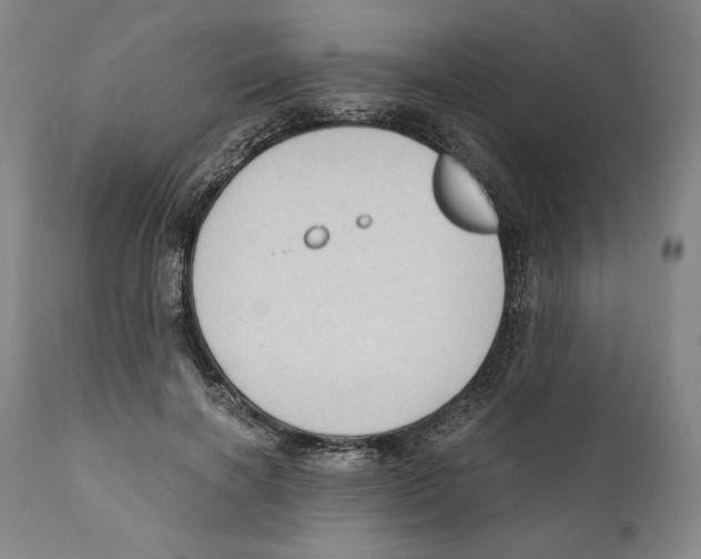 X0000111030646200907231622