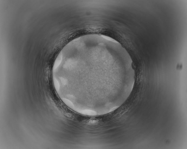 X0000111030647200907231622