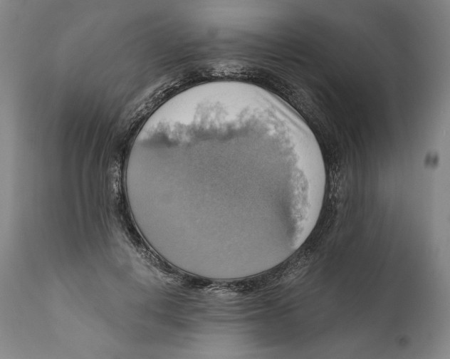 X0000111030648200907231622