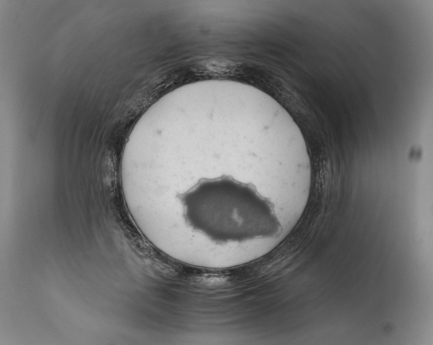 X0000111030651200907231622