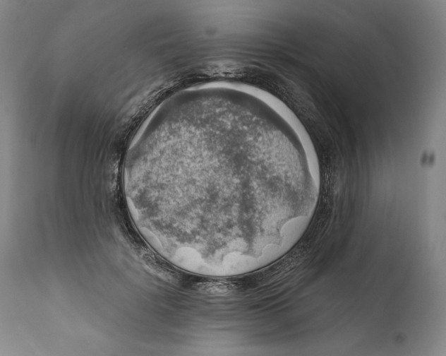 X0000111030652200907231622