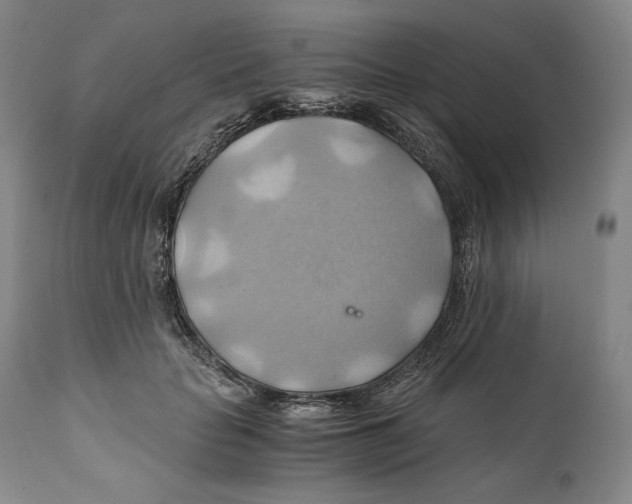 X0000111030653200907231622