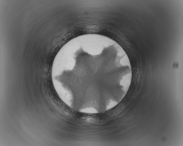 X0000111030655200907231622