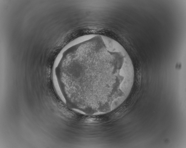 X0000111030657200907231622