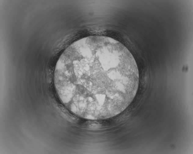 X0000111030658200907231622