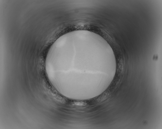 X0000111030659200907231622