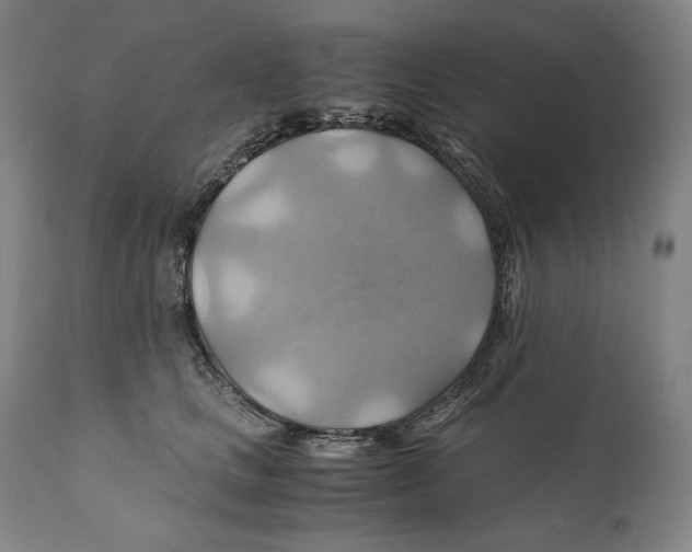 X0000111030661200907231622