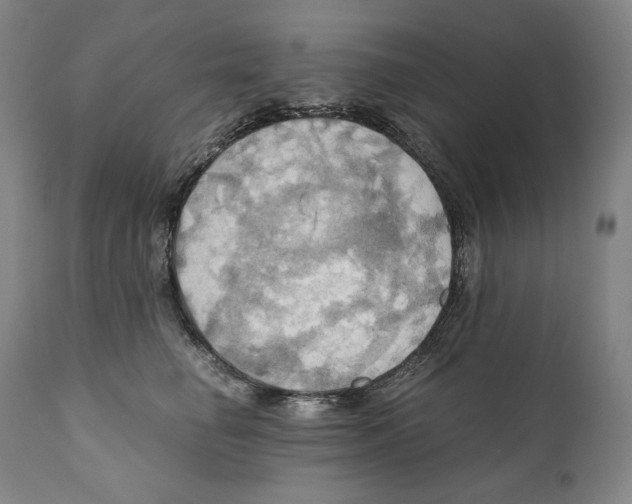 X0000111030662200907231622