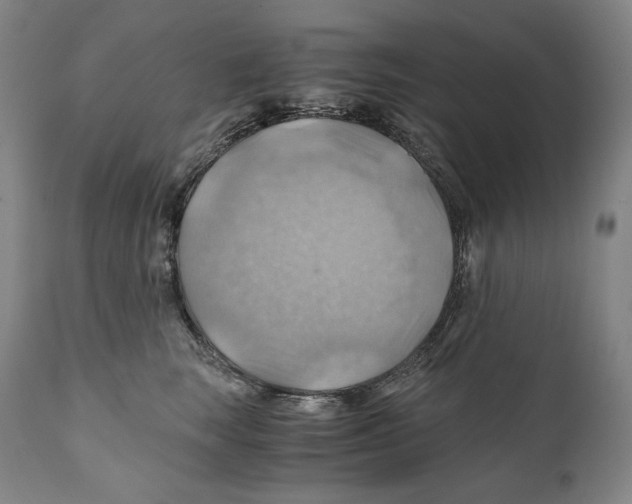 X0000111030663200907231622