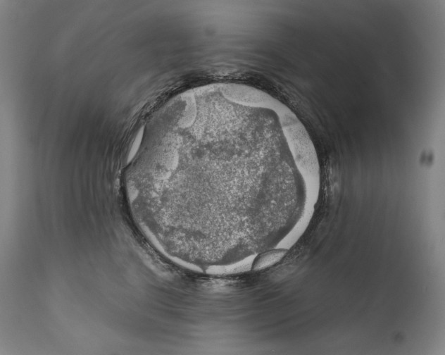 X0000111030664200907231622