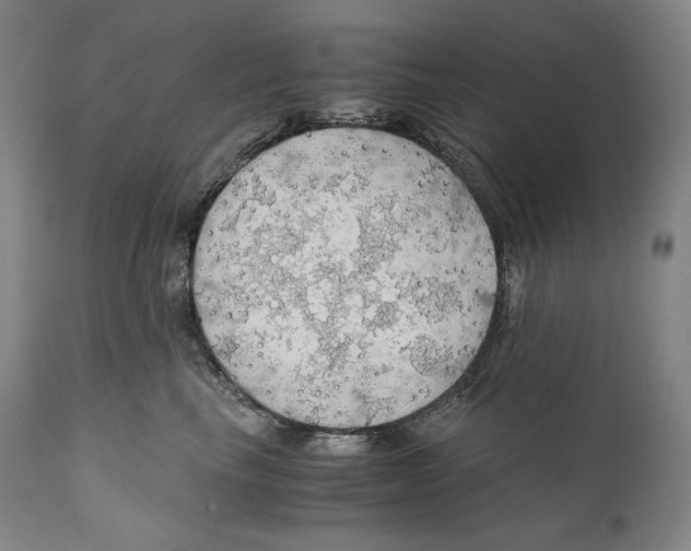 X0000111030665200907231622