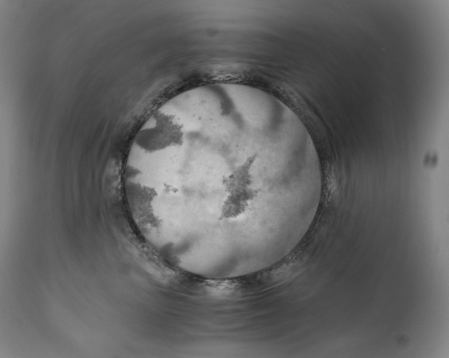 X0000111030667200907231622