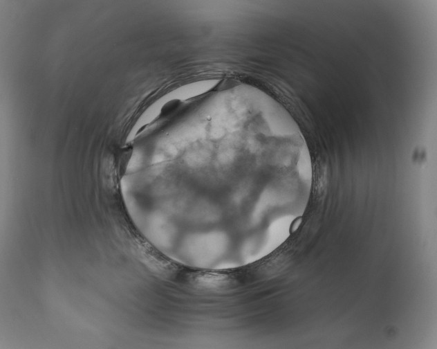 X0000111030669200907231622