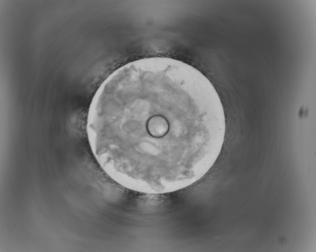 X0000111030672200907231622