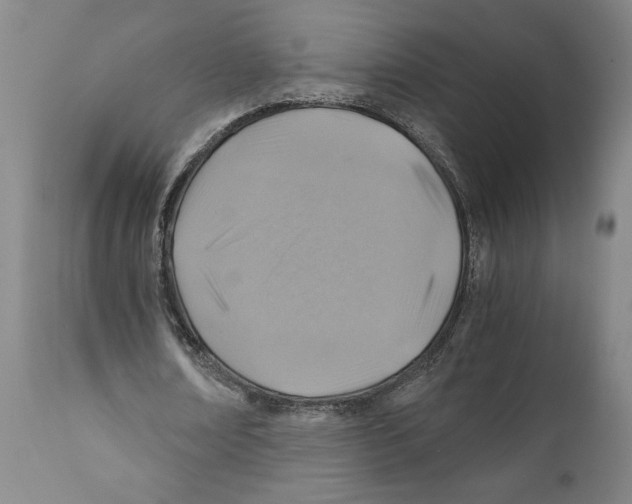 X0000111030674200907231621