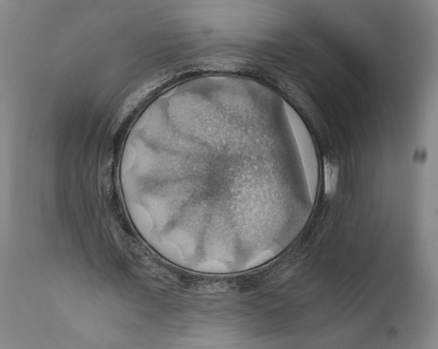 X0000111030675200907231621