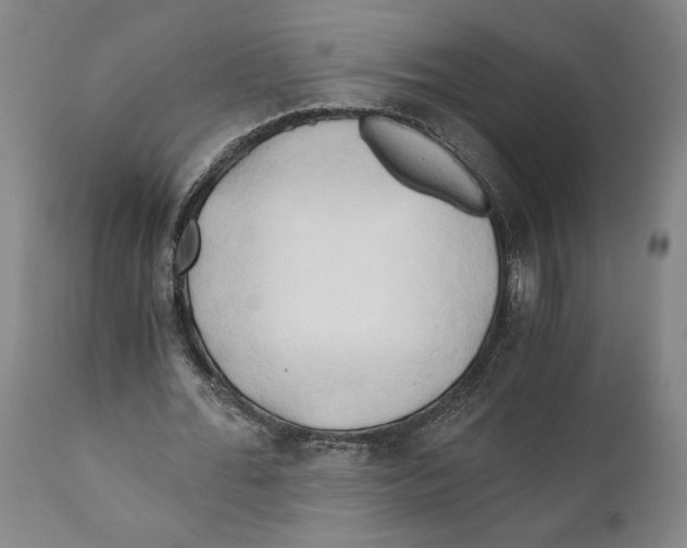 X0000111030676200907231621