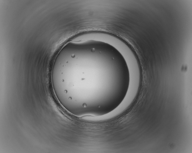 X0000111030677200907231621