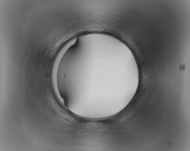 X0000111030681200907231621