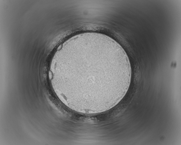 X0000111030683200907231621