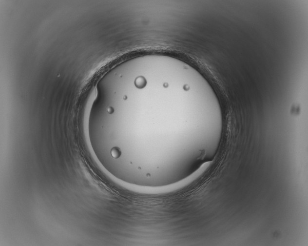 X0000111030684200907231621