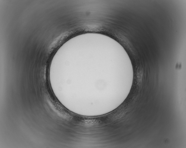 X0000111030686200907231621