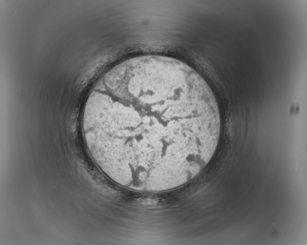 X0000111030687200907231621