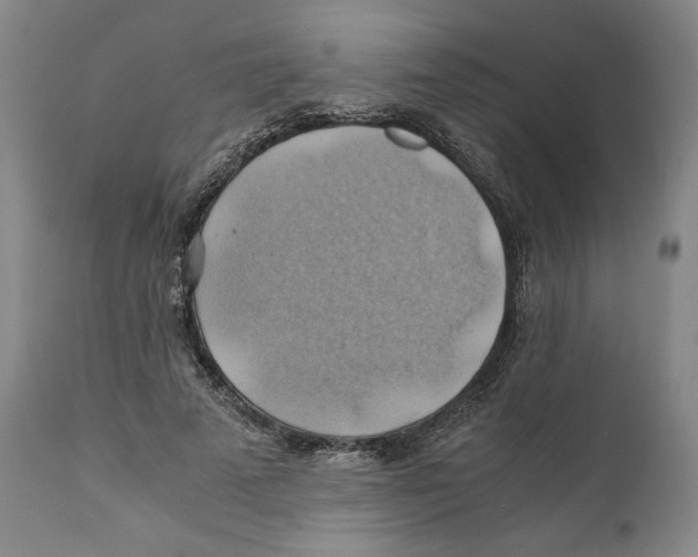 X0000111030689200907231621