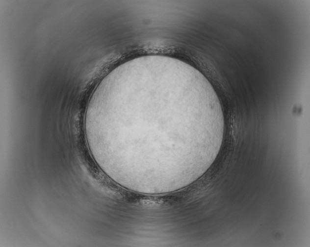 X0000111030690200907231621