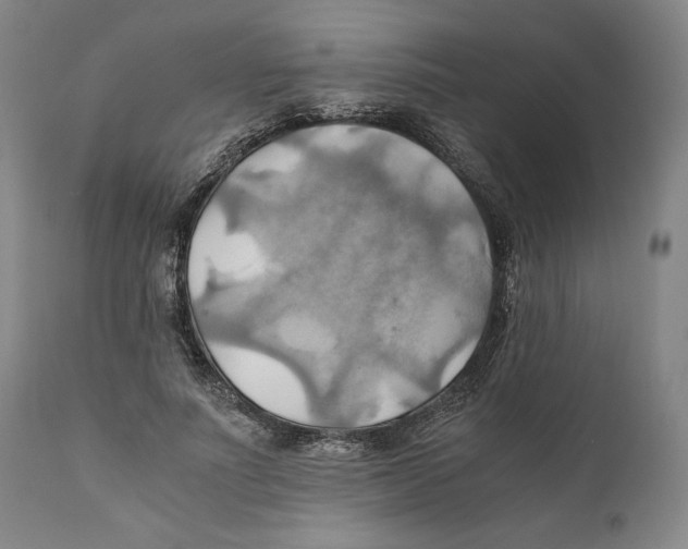 X0000111030691200907231621