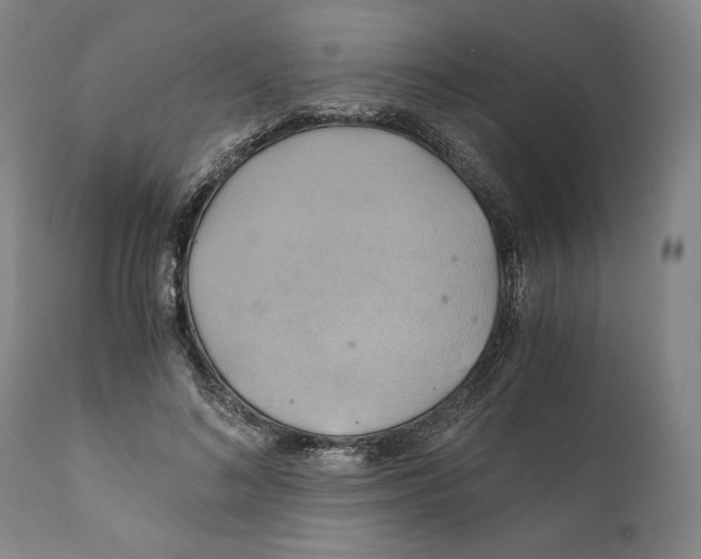 X0000111030692200907231621