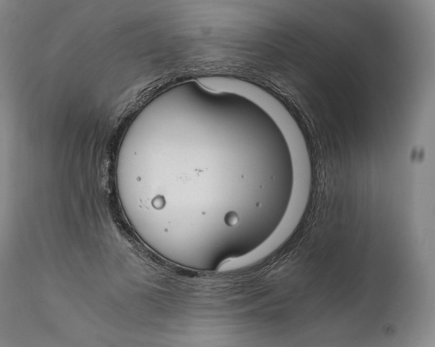 X0000111030693200907231621