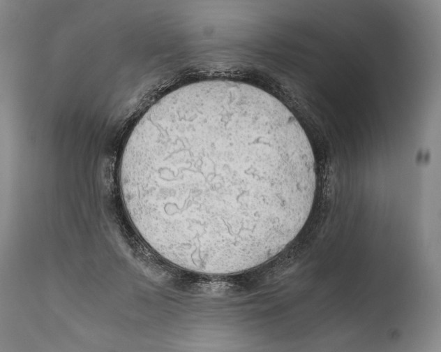 X0000111030695200907231621