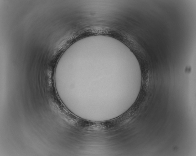 X0000111030696200907231621