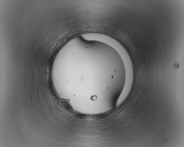 X0000111030697200907231621