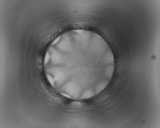 X0000111030699200907231621