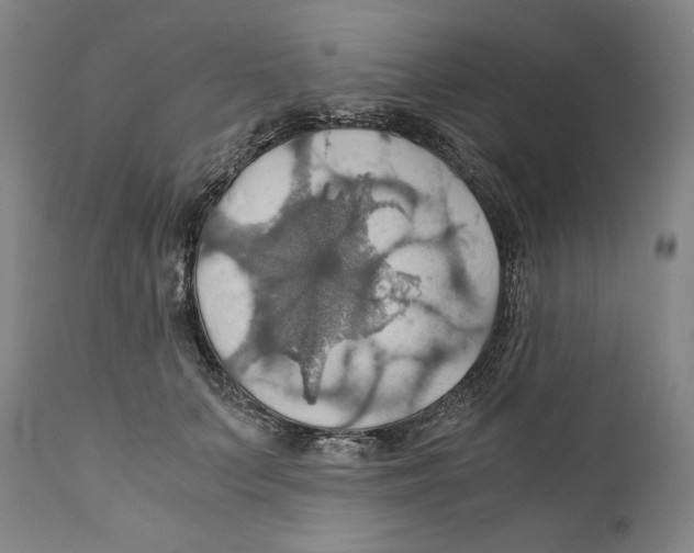 X0000111030703200907231621