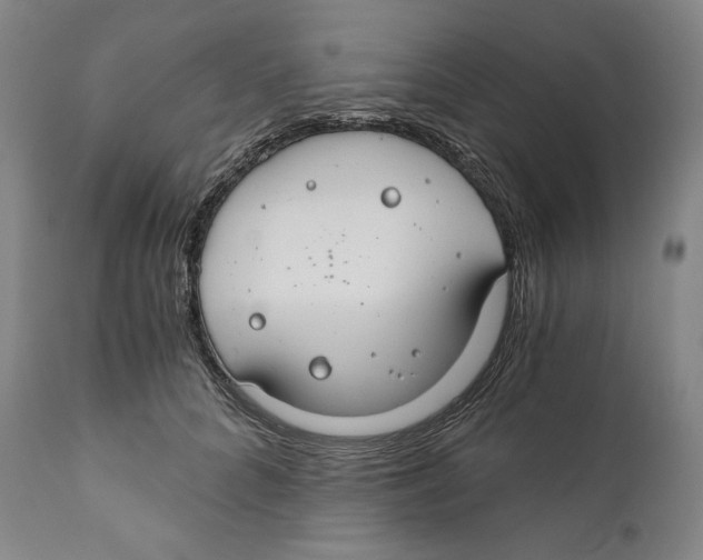 X0000111030704200907231621