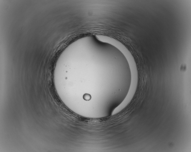 X0000111030705200907231621