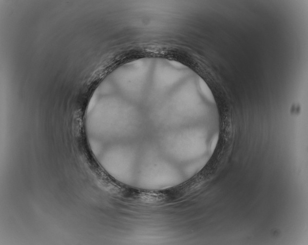 X0000111030707200907231621