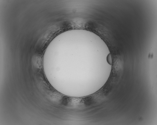 X0000111030709200907231621