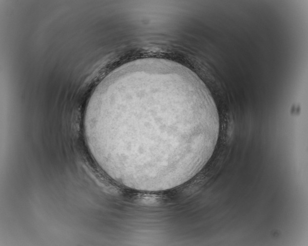 X0000111030710200907231621