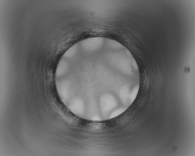 X0000111030711200907231621