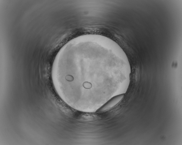 X0000111030712200907231621