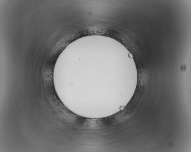 X0000111030713200907231621