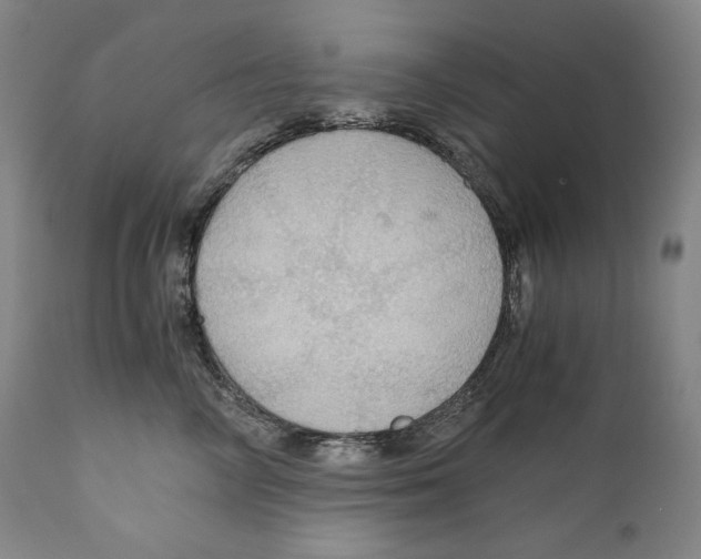 X0000111030714200907231621