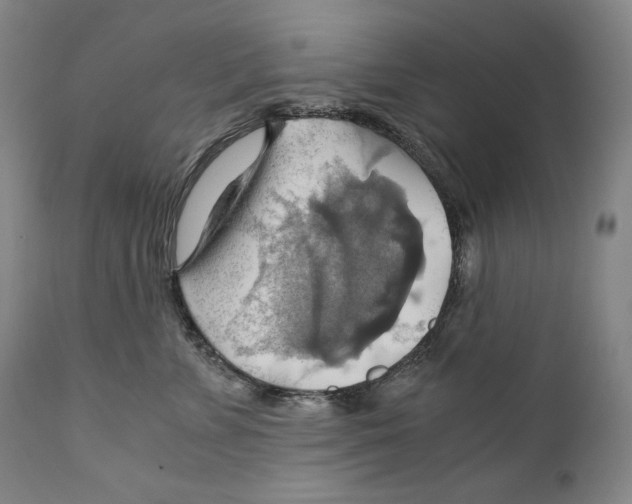 X0000111030715200907231621