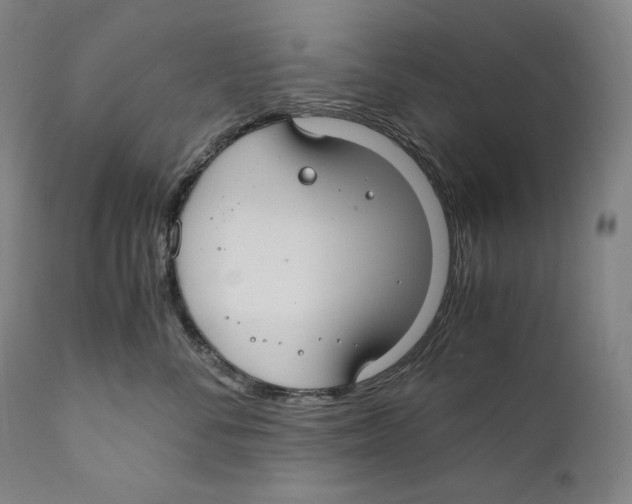 X0000111030716200907231621