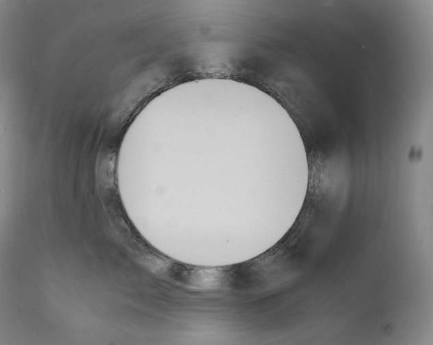 X0000111030717200907231621