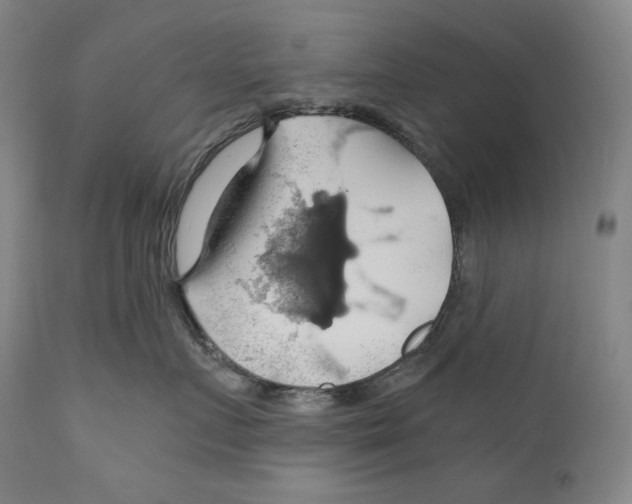 X0000111030719200907231621